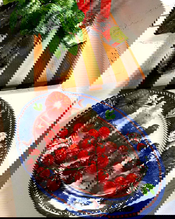 sophiemudd sophiemudd archive image