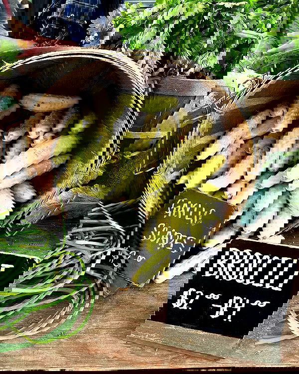 sophiemudd sophiemudd archive image