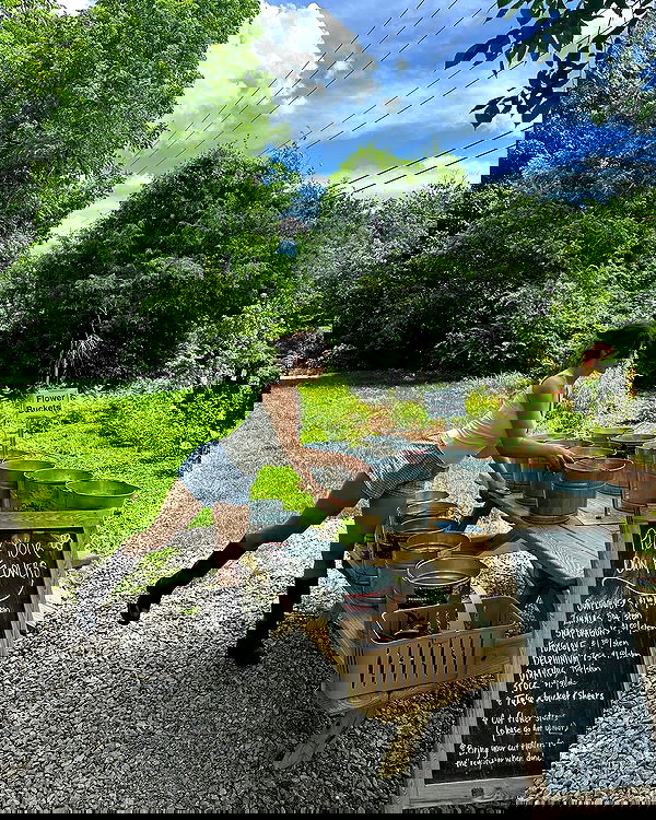 sophiemudd sophiemudd archive image