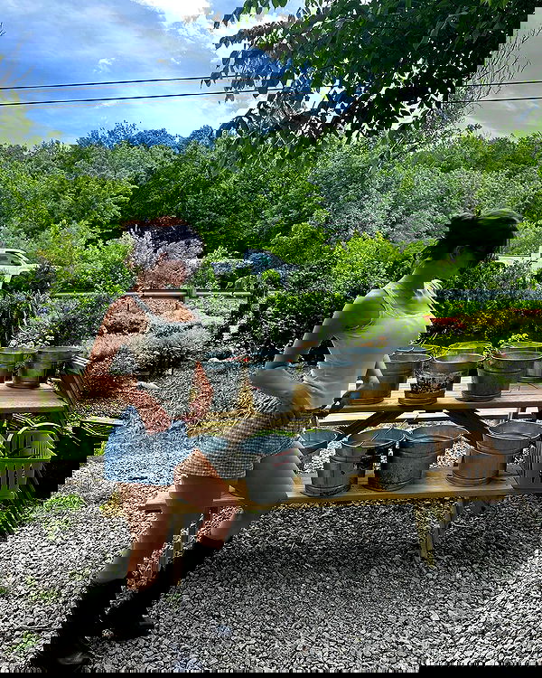 sophiemudd sophiemudd archive image