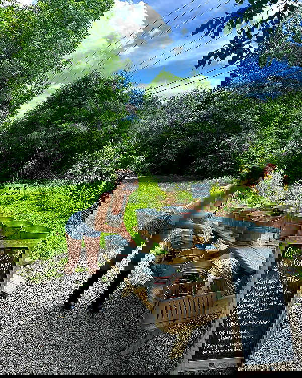 sophiemudd sophiemudd archive image