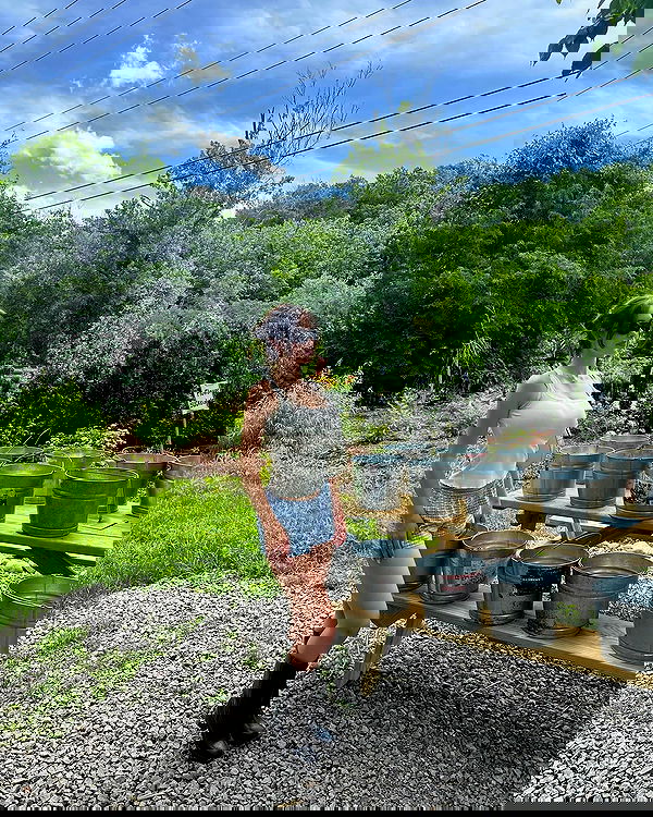 sophiemudd sophiemudd archive image