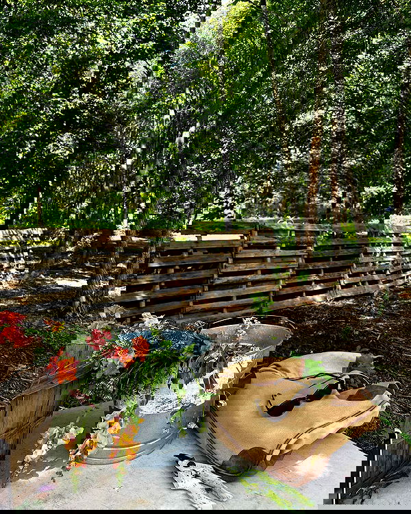 sophiemudd sophiemudd archive image