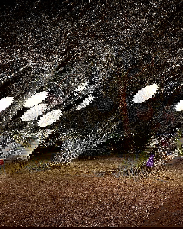 sophiemudd sophiemudd archive image