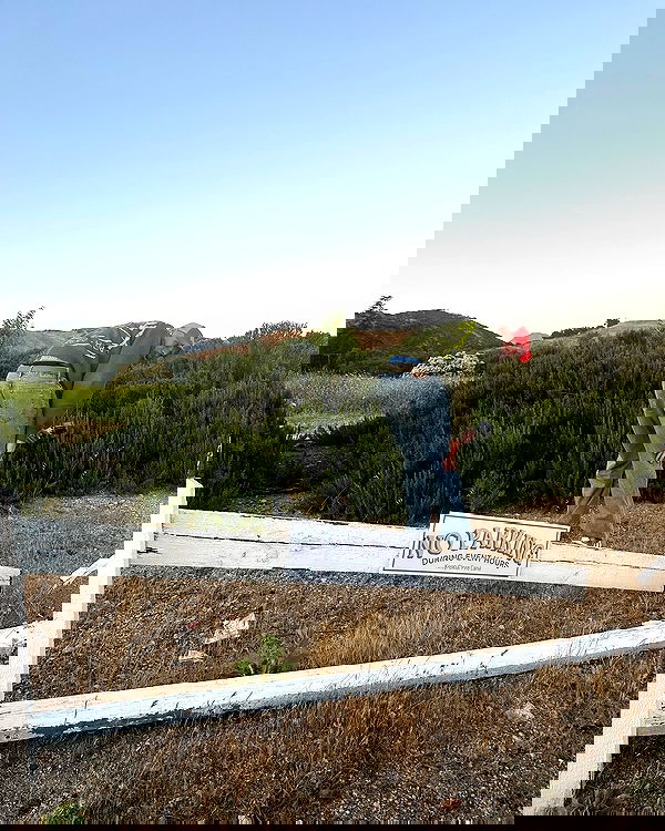 sophiemudd sophiemudd archive image