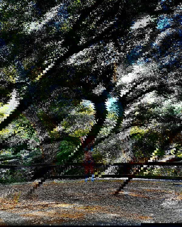 sophiemudd sophiemudd archive image