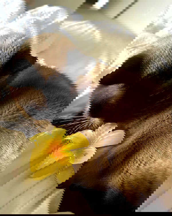 sophiemudd sophiemudd archive image