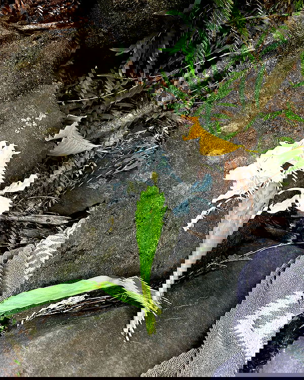 sophiemudd sophiemudd archive image