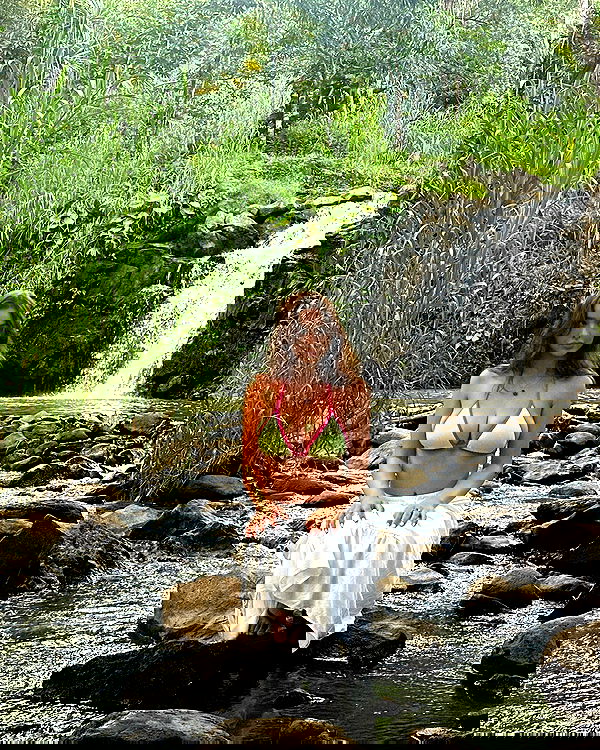 sophiemudd sophiemudd archive image