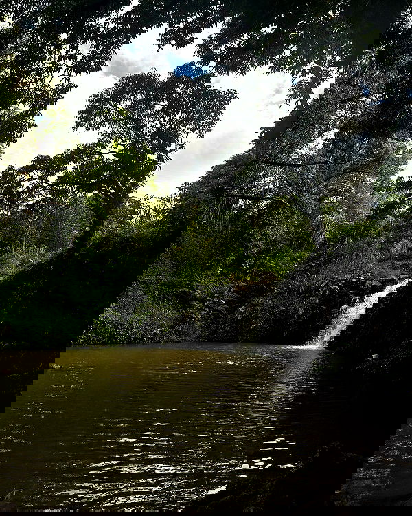 sophiemudd sophiemudd archive image