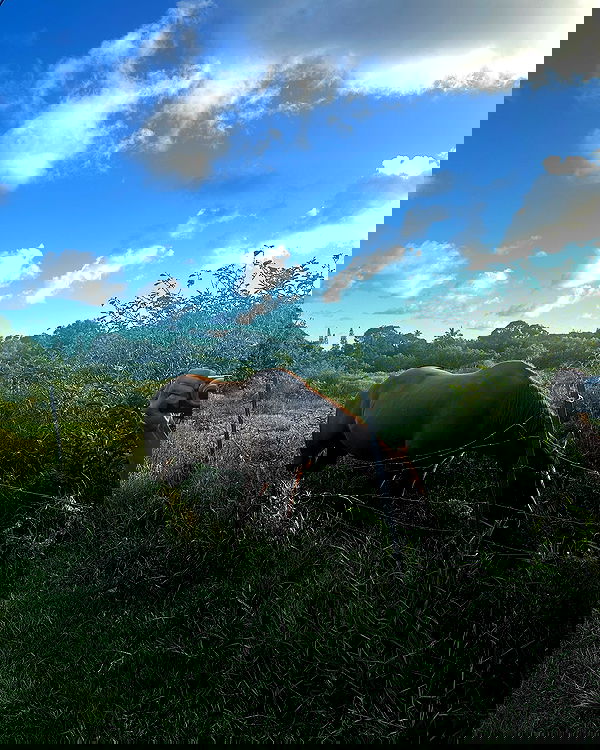 sophiemudd sophiemudd archive image