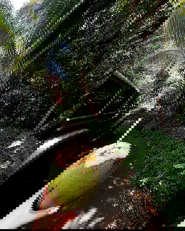 sophiemudd sophiemudd archive image