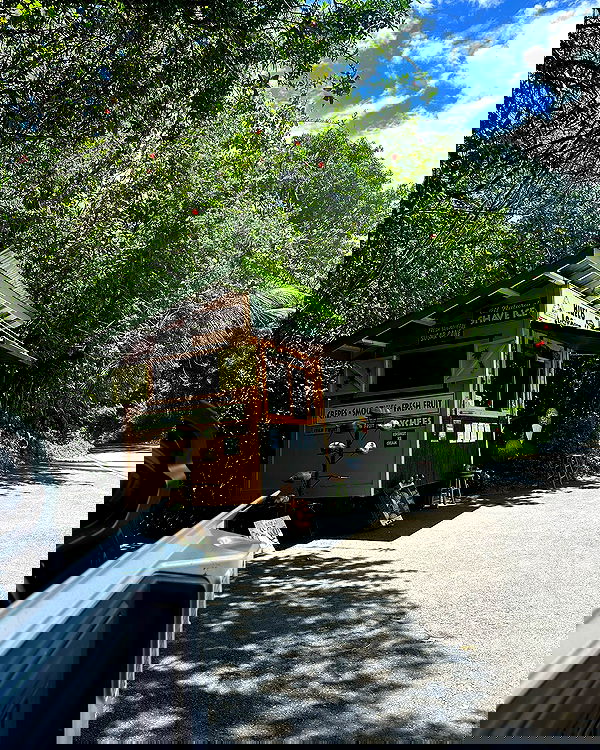 sophiemudd sophiemudd archive image