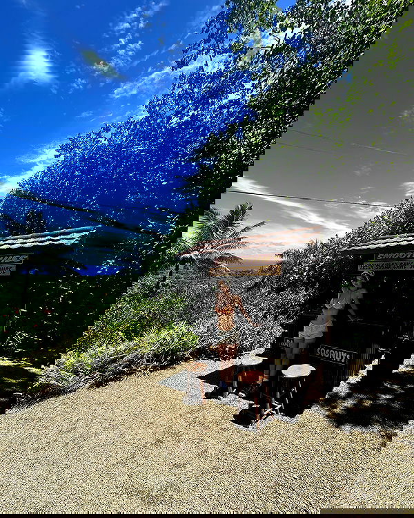 sophiemudd sophiemudd archive image