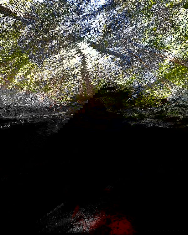 sophiemudd sophiemudd archive image