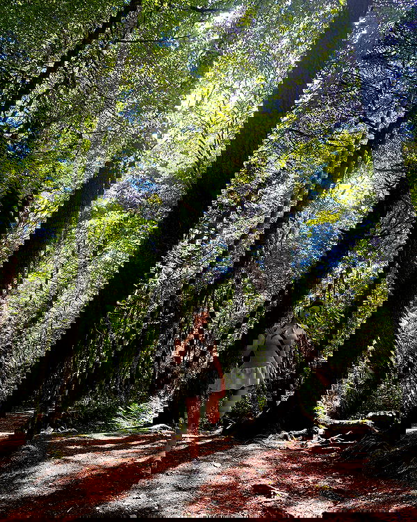 sophiemudd sophiemudd archive image