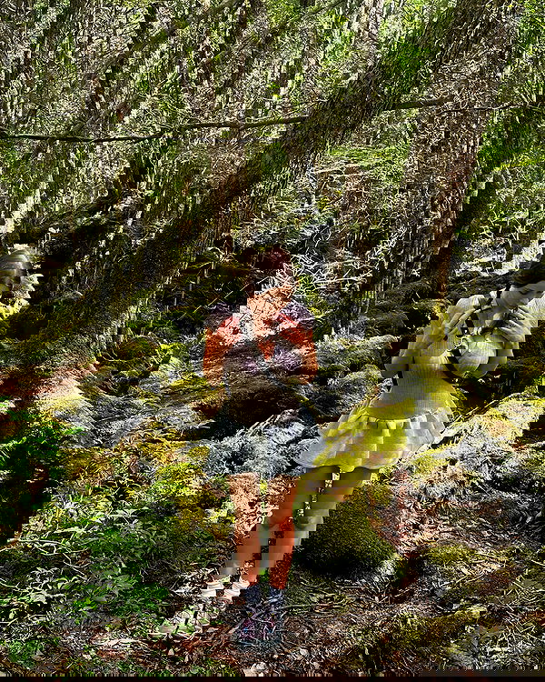 sophiemudd sophiemudd archive image