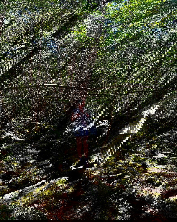 sophiemudd sophiemudd archive image