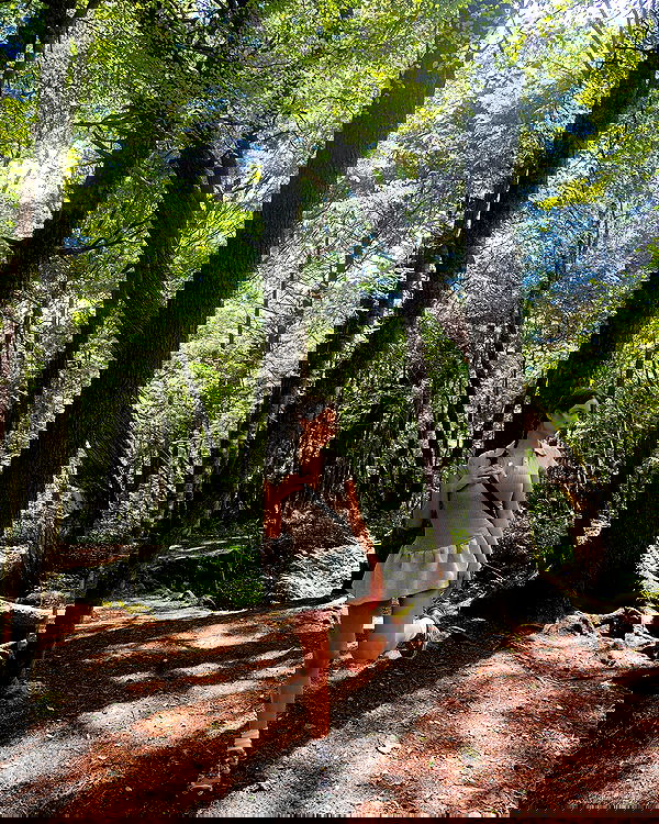 sophiemudd sophiemudd archive image