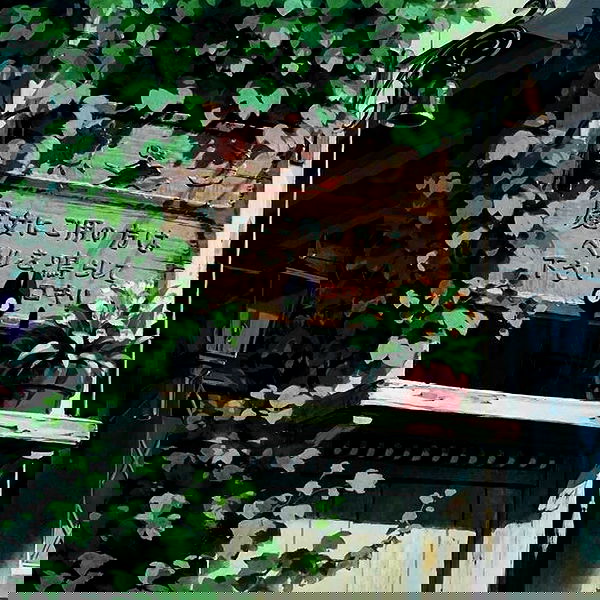 sophiemudd sophiemudd archive image