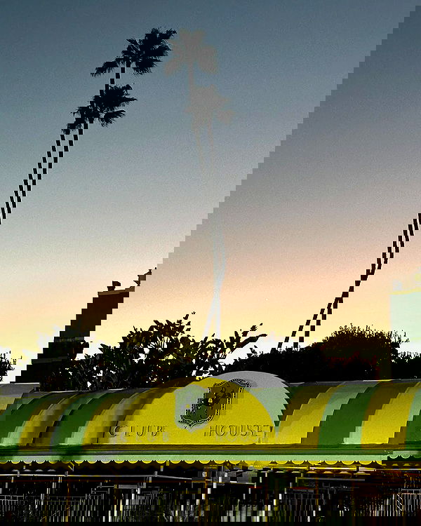 sophiemudd sophiemudd archive image