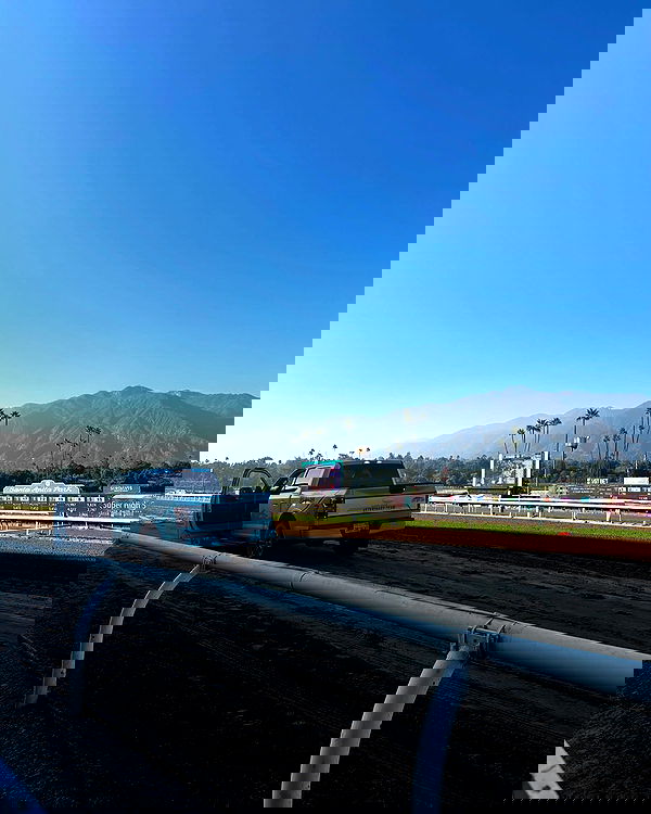 sophiemudd sophiemudd archive image