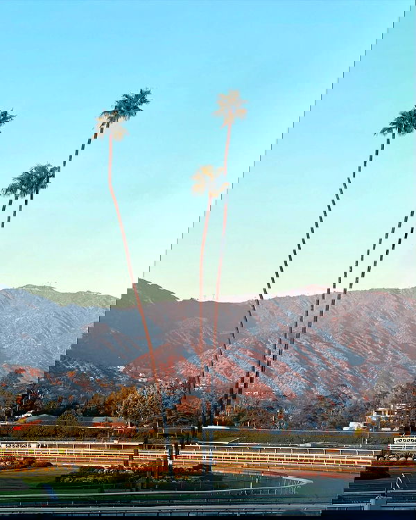 sophiemudd sophiemudd archive image