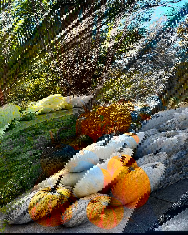 sophiemudd sophiemudd archive image