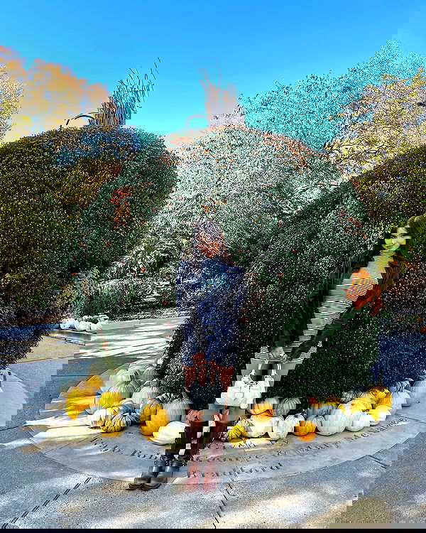 sophiemudd sophiemudd archive image