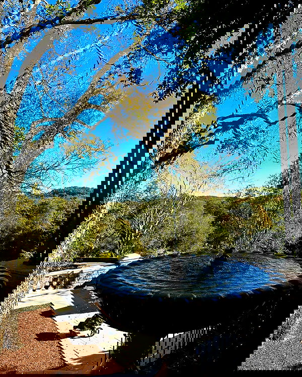 sophiemudd sophiemudd archive image