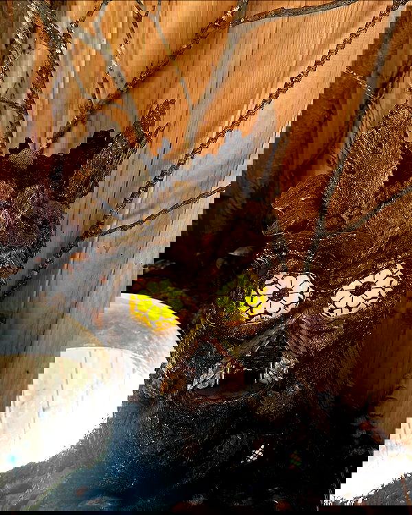 sophiemudd sophiemudd archive image