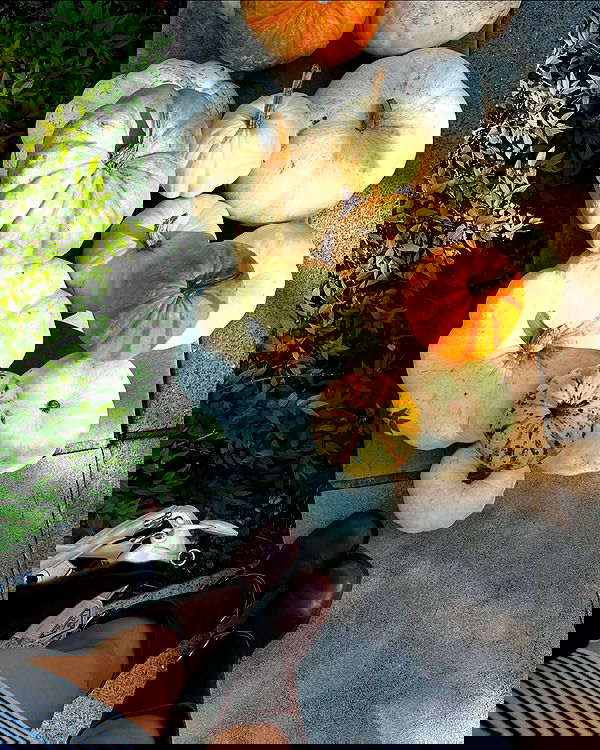 sophiemudd sophiemudd archive image