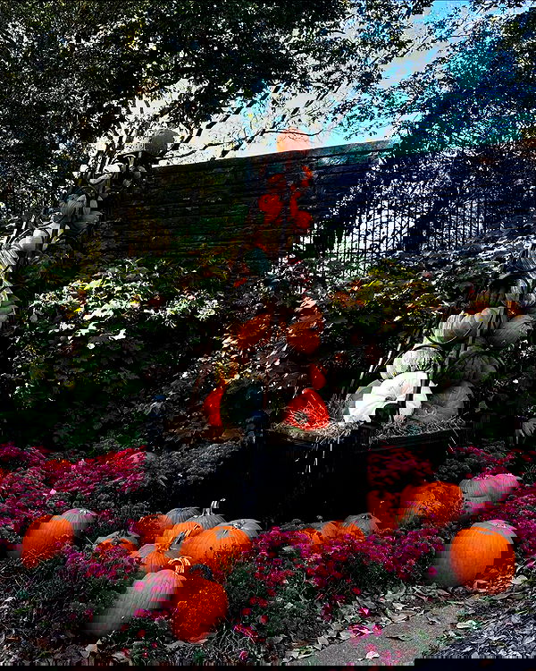 sophiemudd sophiemudd archive image