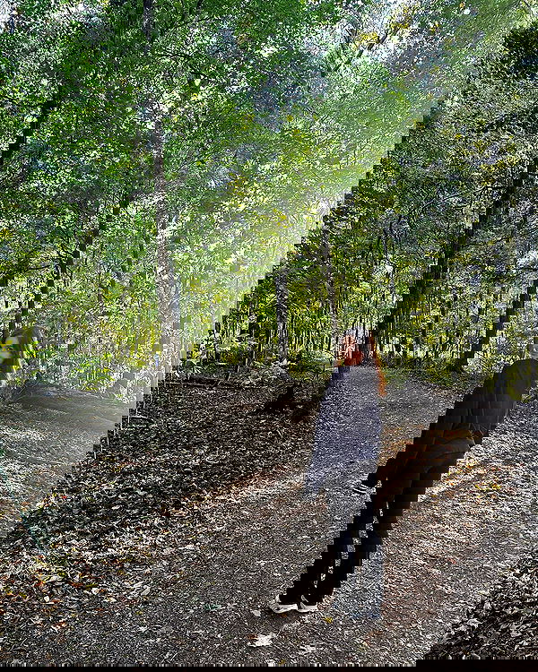 sophiemudd sophiemudd archive image