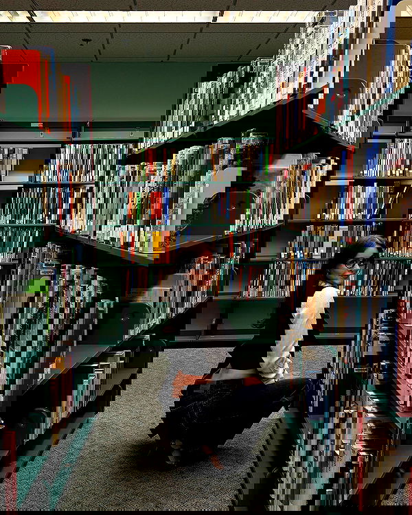 sophiemudd sophiemudd archive image