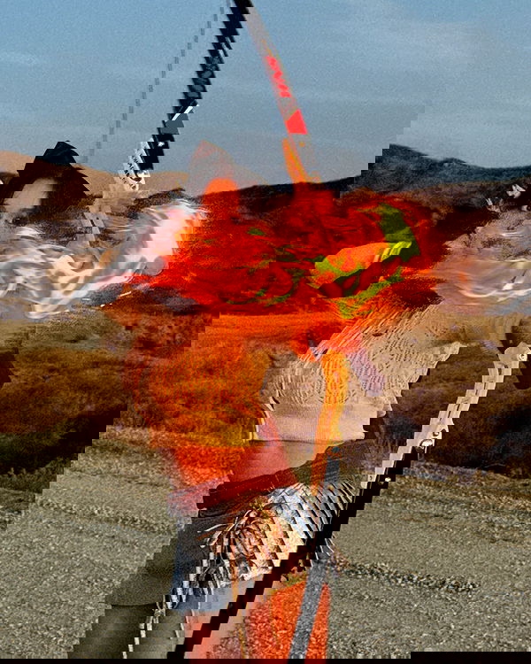 sophiemudd sophiemudd archive image