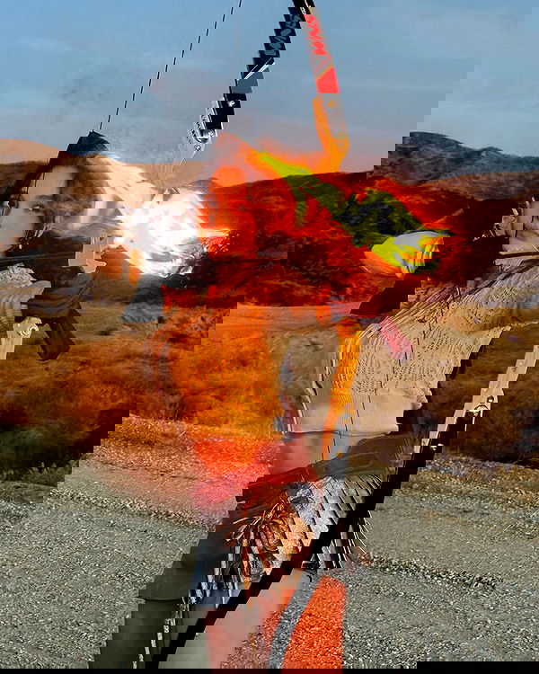 sophiemudd sophiemudd archive image