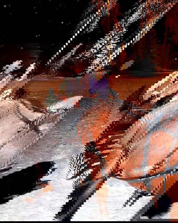 sophiemudd sophiemudd archive image