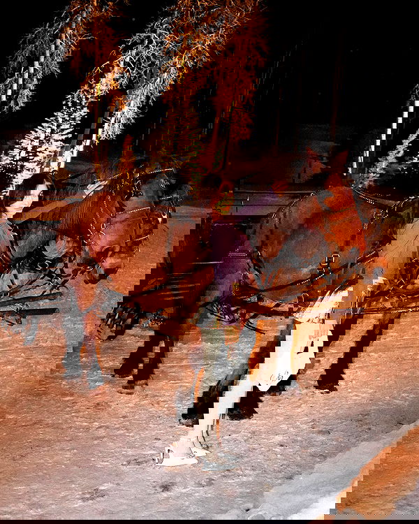 sophiemudd sophiemudd archive image