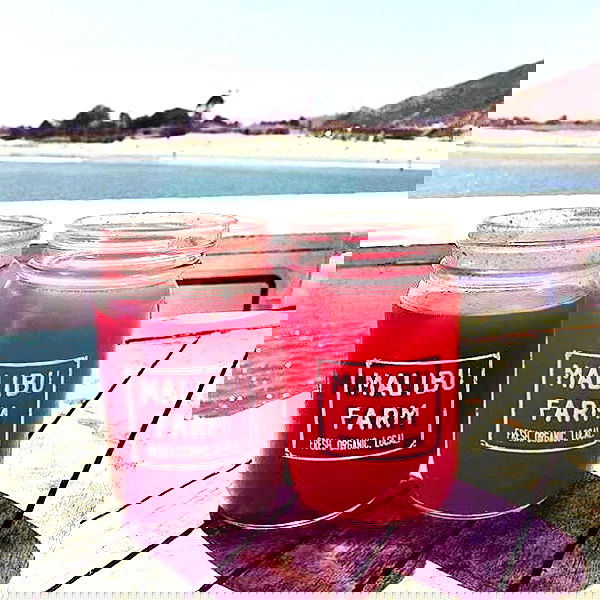 sophiemudd sophiemudd archive image