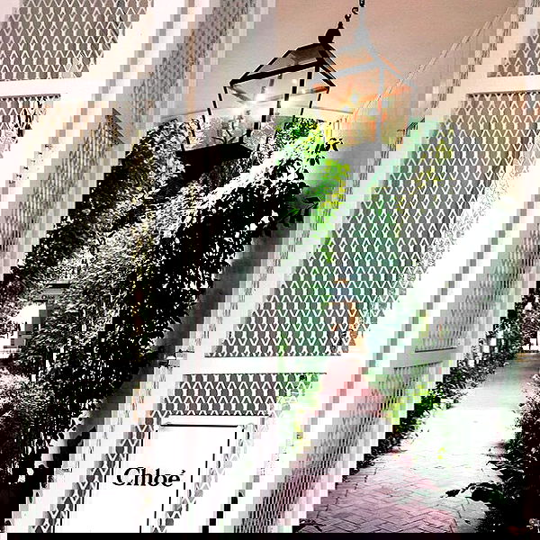 sophiemudd sophiemudd archive image