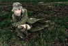 sophiep0wers Altpins Profile Picture