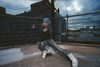 sophiep0wers Altpins Profile Picture