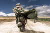 sophiep0wers Altpins Profile Picture