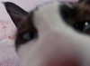 spell.strike Altpins Profile Picture