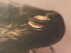 star_.walker Altpins Profile Picture
