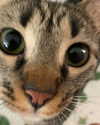 stoovit Altpins Profile Picture