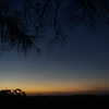 sttaringart Altpins Profile Picture