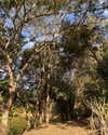 sttaringart Altpins Profile Picture