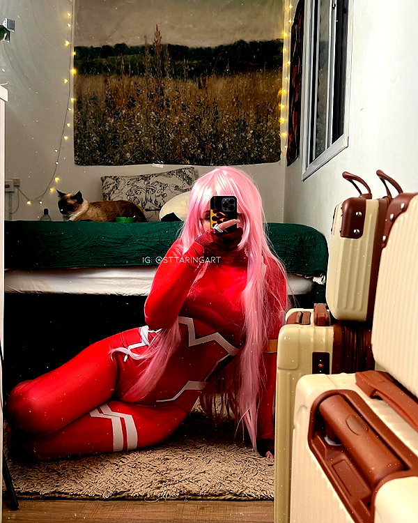 sttaringart instagram image archive image